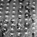 16600030_thumb